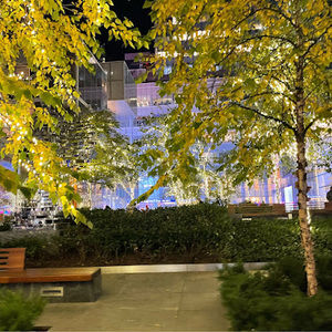 Meet your Posher, Clayeen